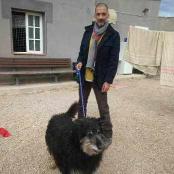 Lassie