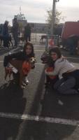 3a caminata canina solidaria 2016