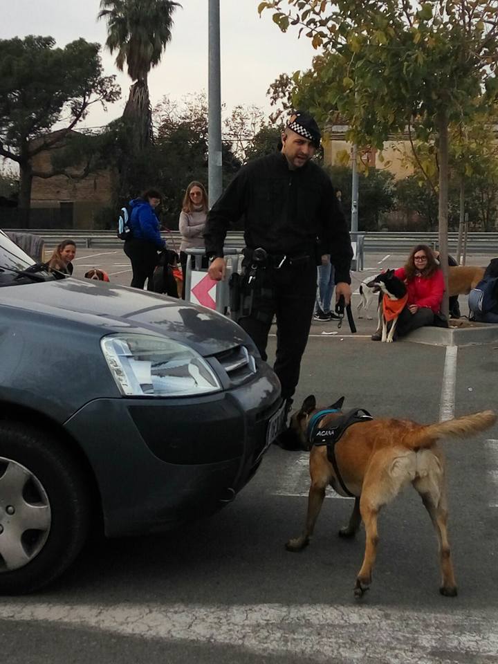 3a caminata canina solidaria 2016