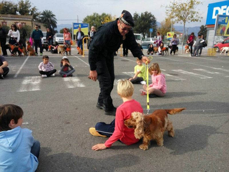 3a caminata canina solidaria 2016