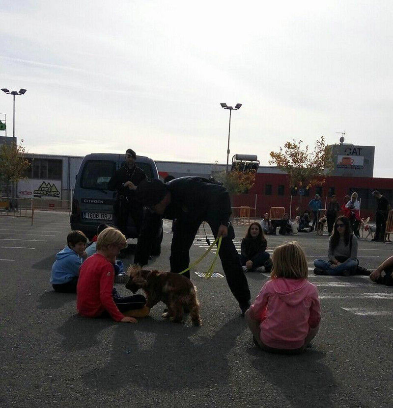 3a caminata canina solidaria 2016