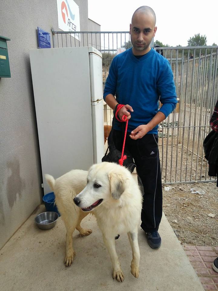 3a caminata canina solidaria 2016