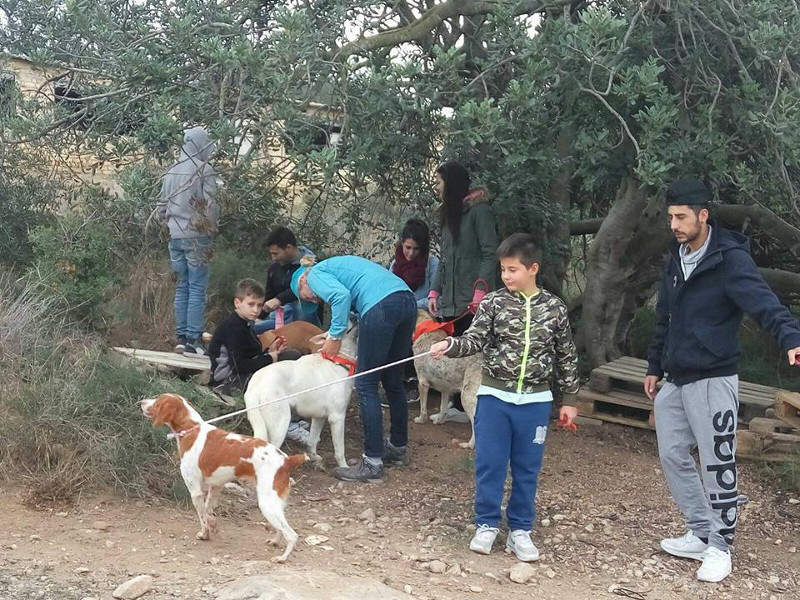 3a caminata canina solidaria 2016