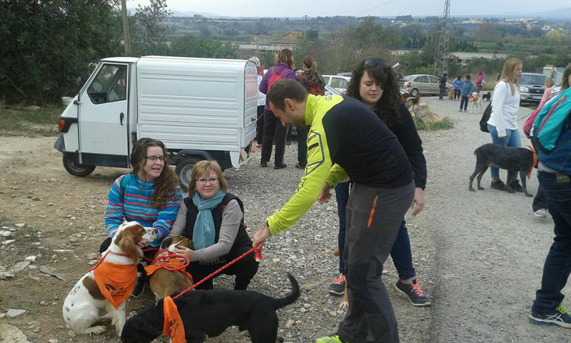 3a caminata canina solidaria 2016