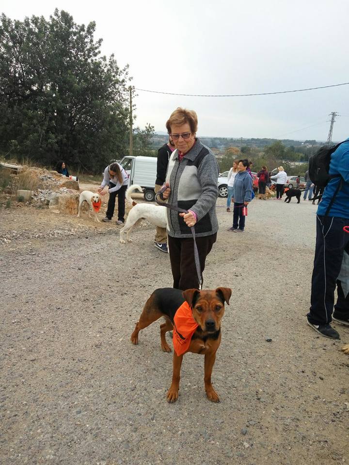 3a caminata canina solidaria 2016