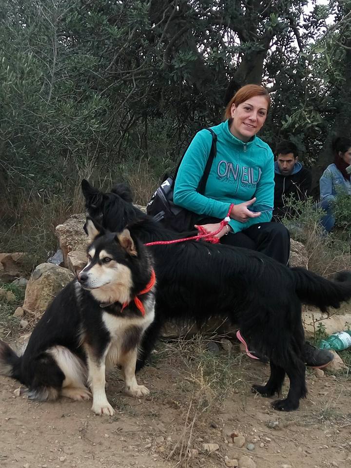 3a caminata canina solidaria 2016