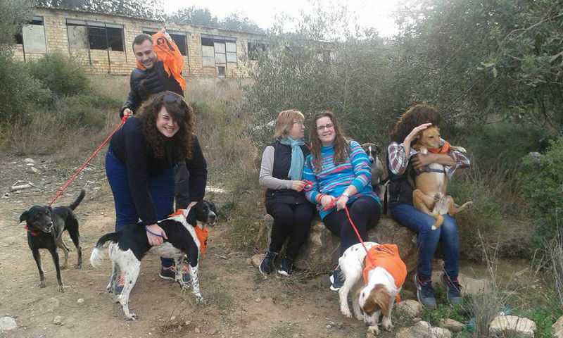 3a caminata canina solidaria 2016