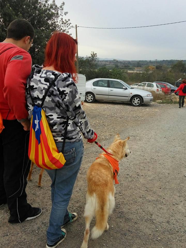 3a caminata canina solidaria 2016