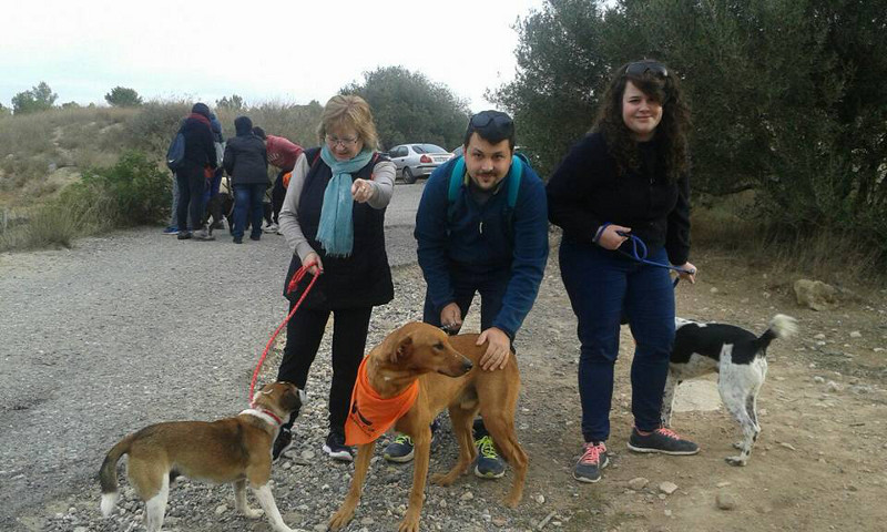 3a caminata canina solidaria 2016