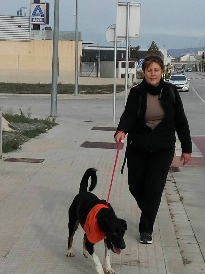 3a caminata canina solidaria 2016