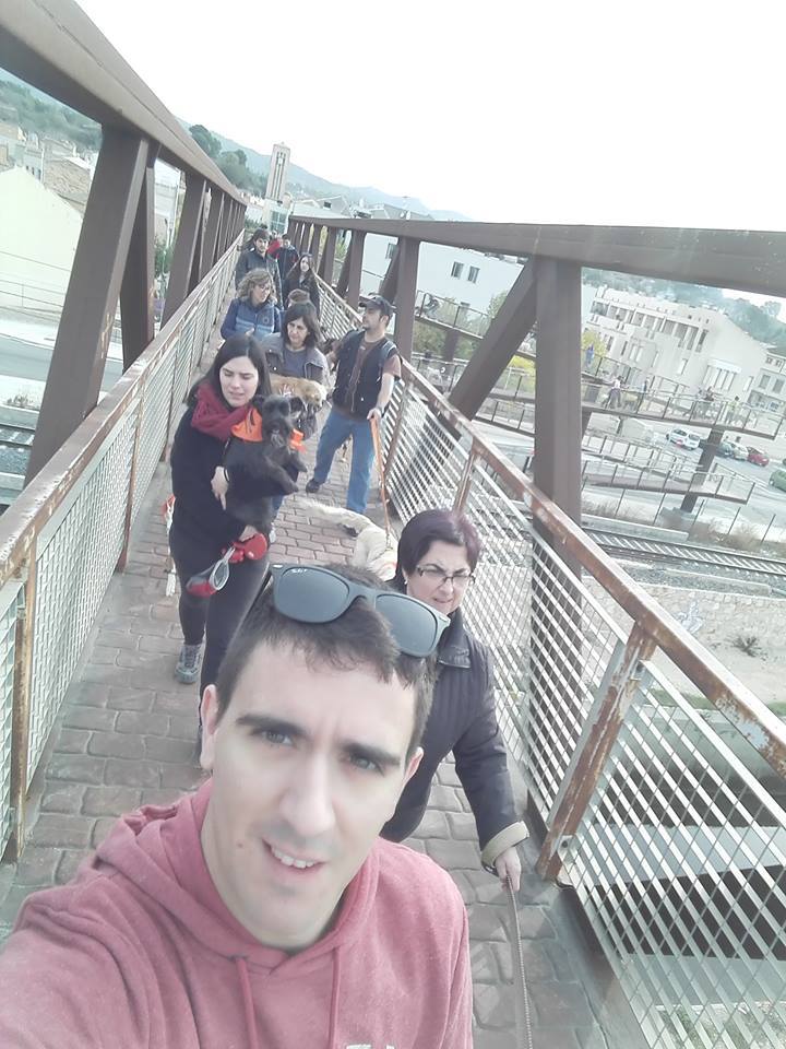 3a caminata canina solidaria 2016