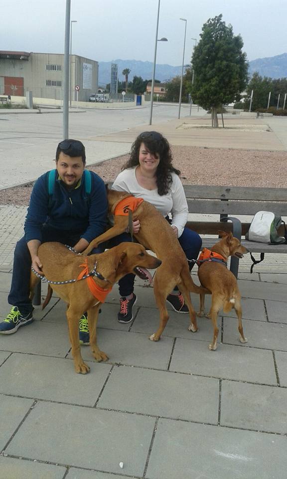 3a caminata canina solidaria 2016