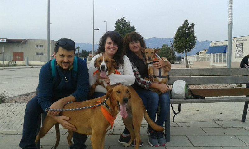 3a caminata canina solidaria 2016