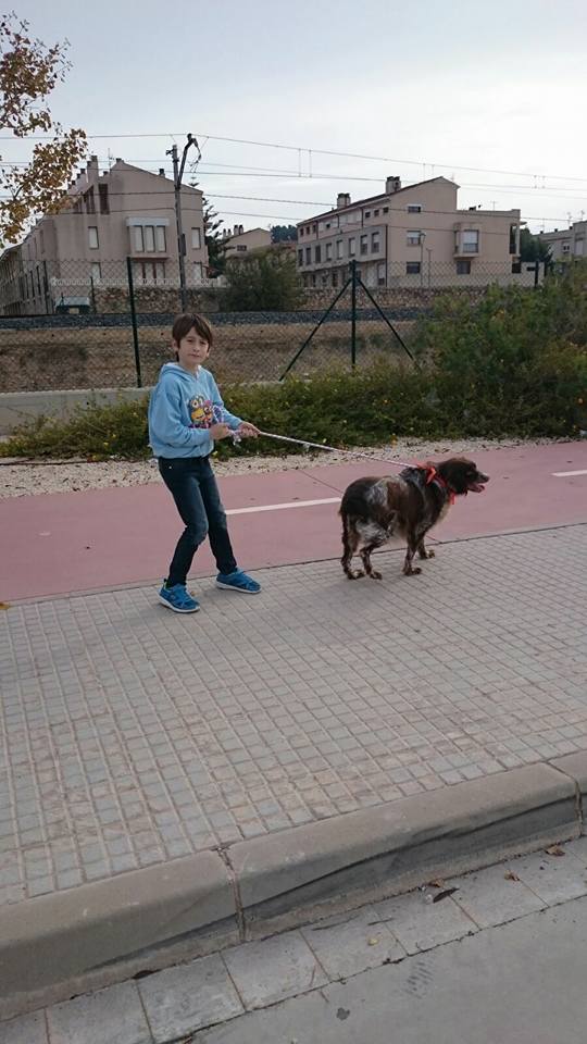 3a caminata canina solidaria 2016