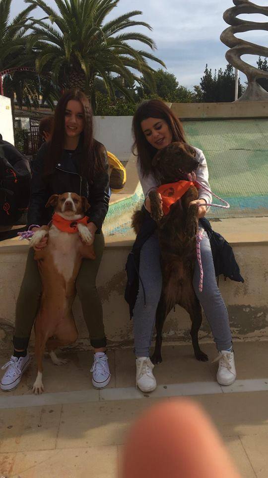 3a caminata canina solidaria 2016