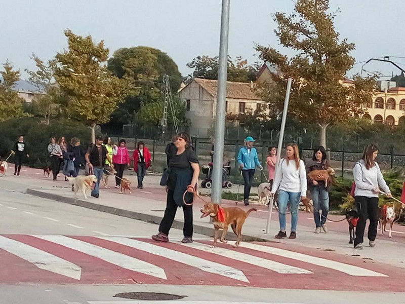 3a caminata canina solidaria 2016