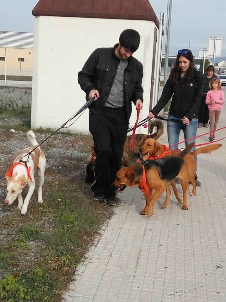 3a caminata canina solidaria 2016