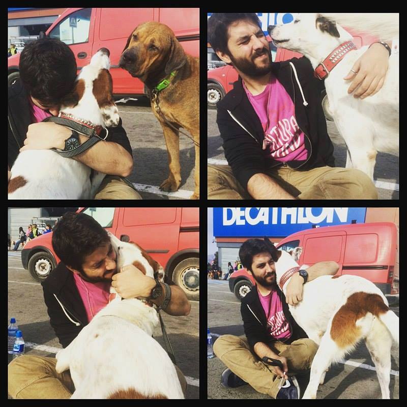 3a caminata canina solidaria 2016