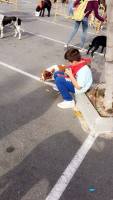 3a caminata canina solidaria 2016