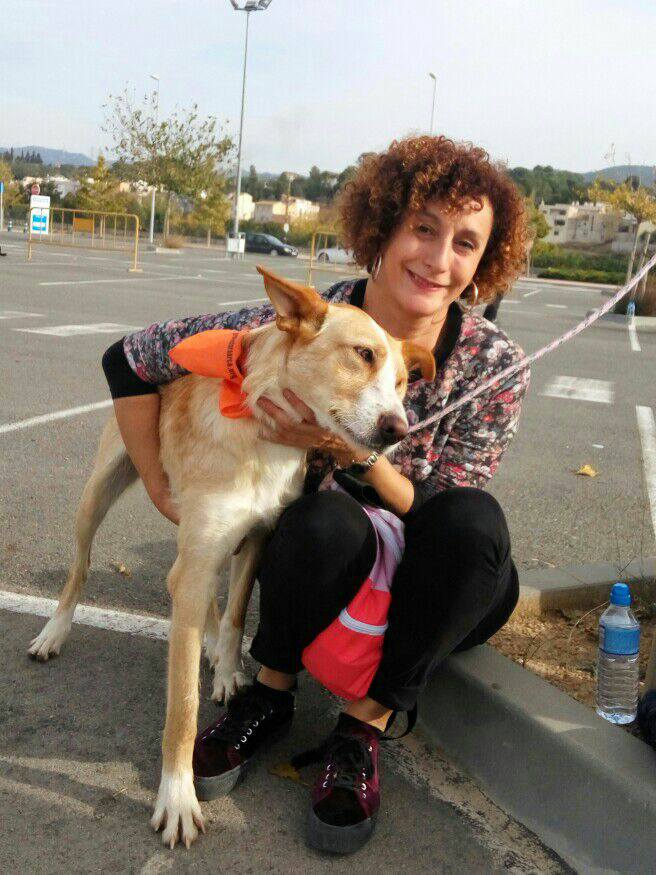 3a caminata canina solidaria 2016