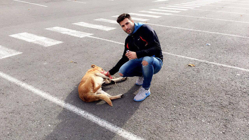 3a caminata canina solidaria 2016