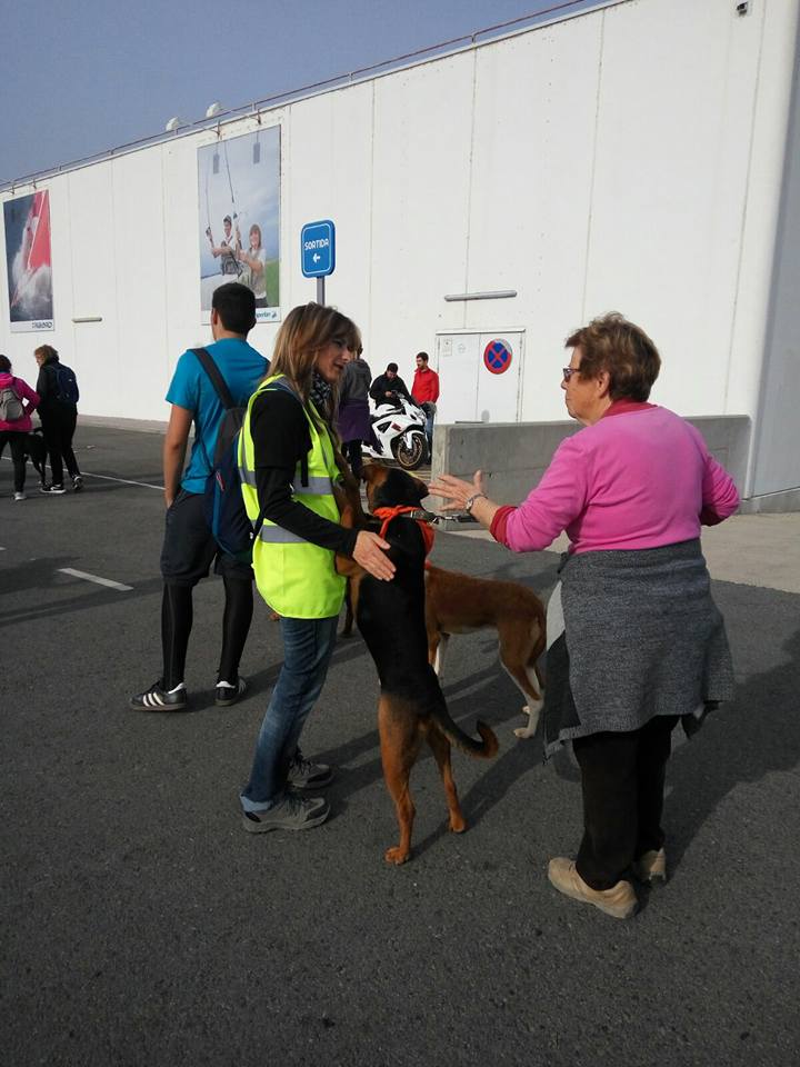 3a caminata canina solidaria 2016