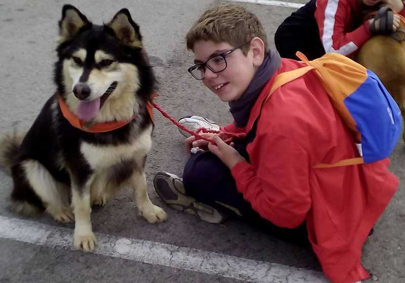 3a caminata canina solidaria 2016