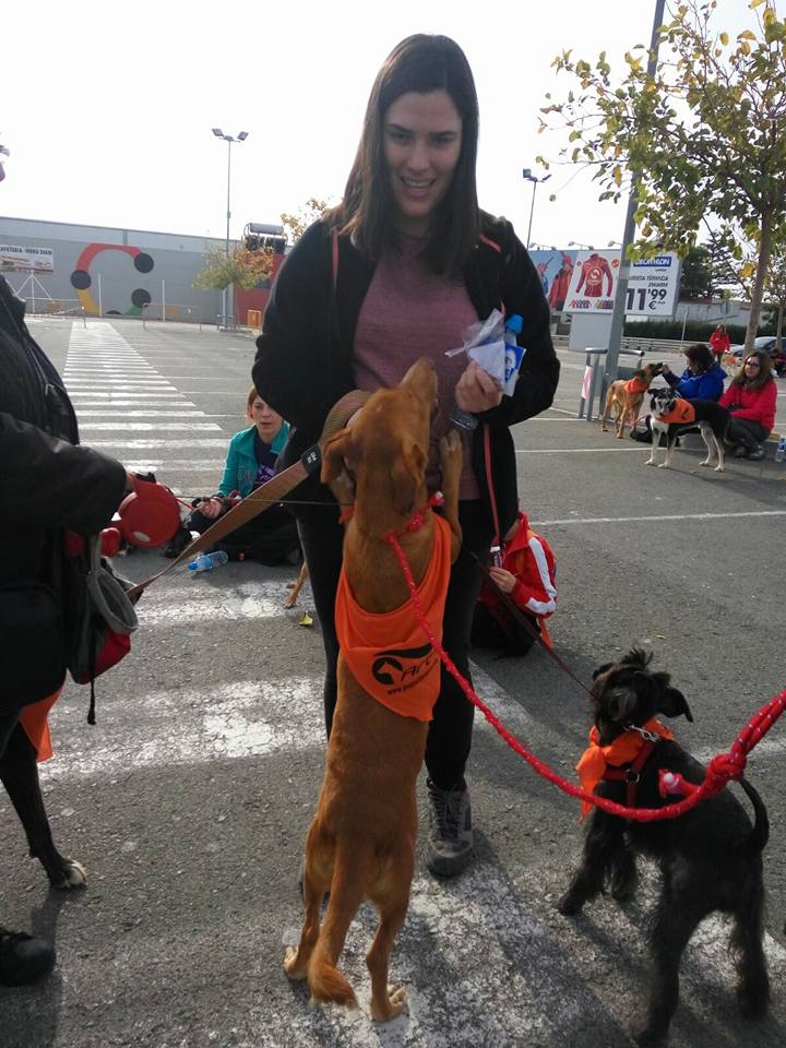 3a caminata canina solidaria 2016