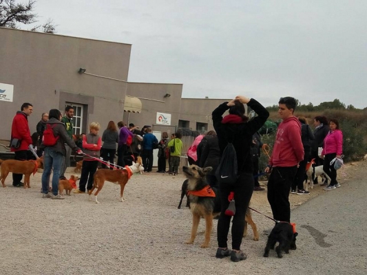 3a caminada canina solidària 2016 en imatges