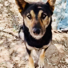 Noury